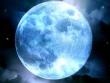 Avatar-login-lau
