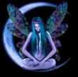 Avatar-login-LaFuerza