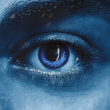 Avatar-login-Shon Lupe