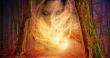 Avatar-login-Amina