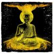 Avatar-login-furtivo