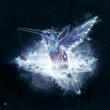 Avatar-login-Romm